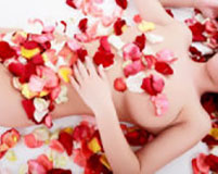 A Rose is a Rose Massage & After Bath & Body Oil A Rose is a Rose Massage & After Bath & Body Oil